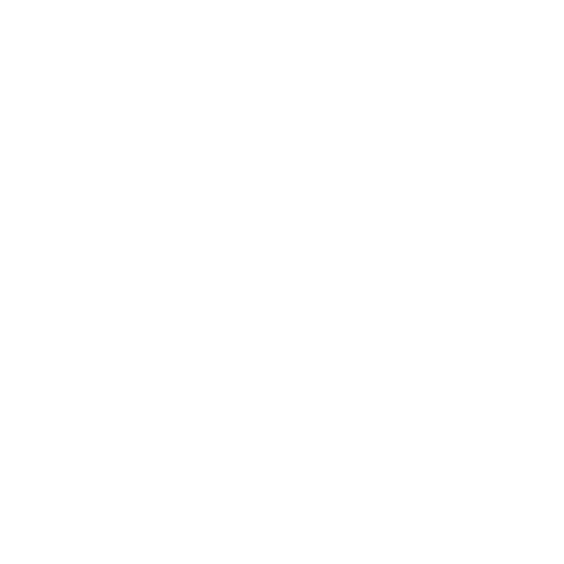 Noor Consulting group Services